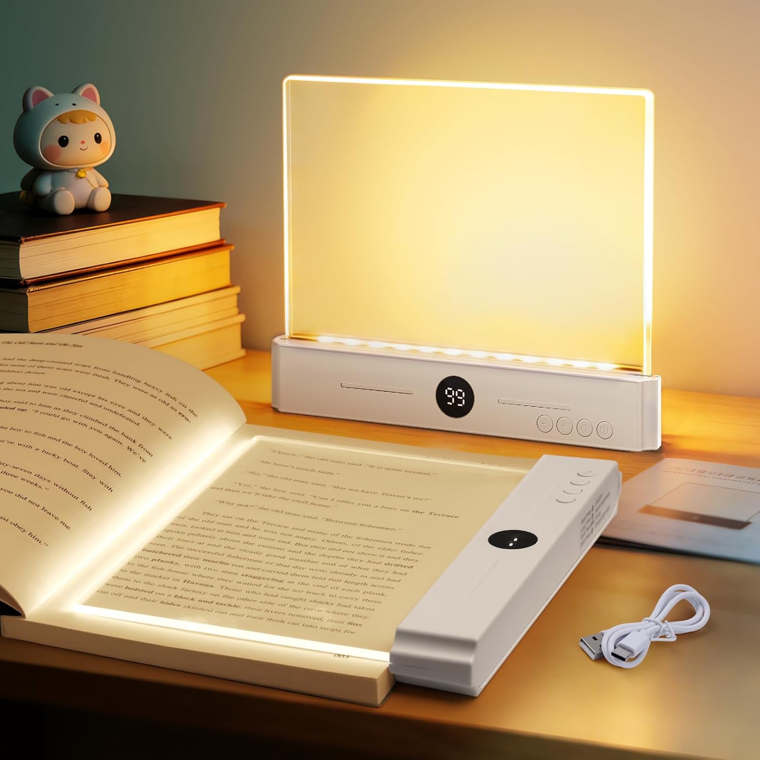 Flat Clear Panel Reading Light - 2-in-1 Night Light with Timer