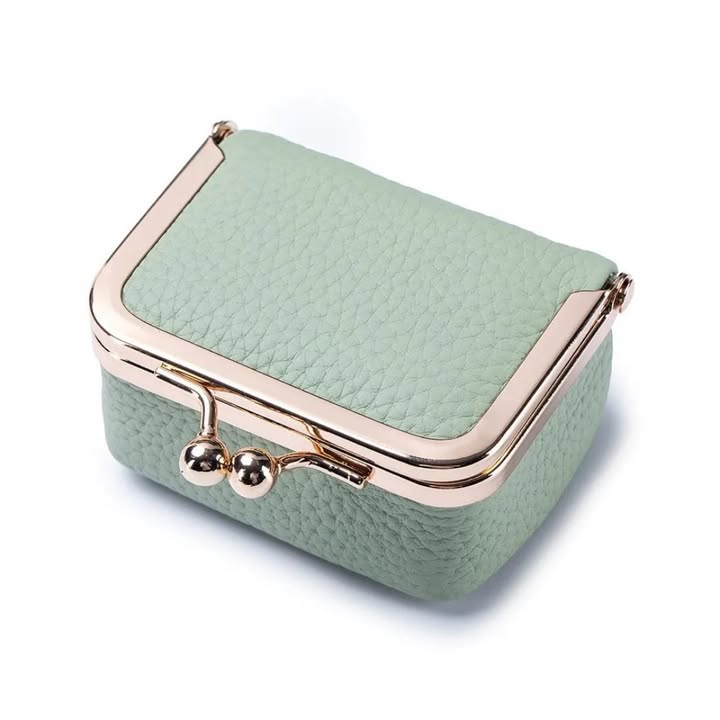 Mini Leather Storage Box Bag